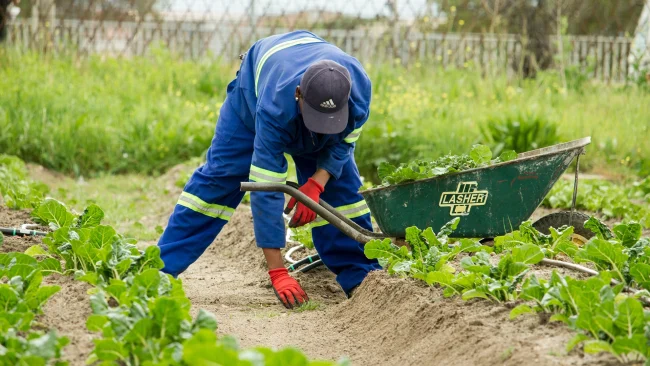 KI-Wettervorhersagen k&ouml;nnten Landwirten helfen, Klimarisiken zu bek&auml;mpfen, bringen aber neue Bedenken mit sich
